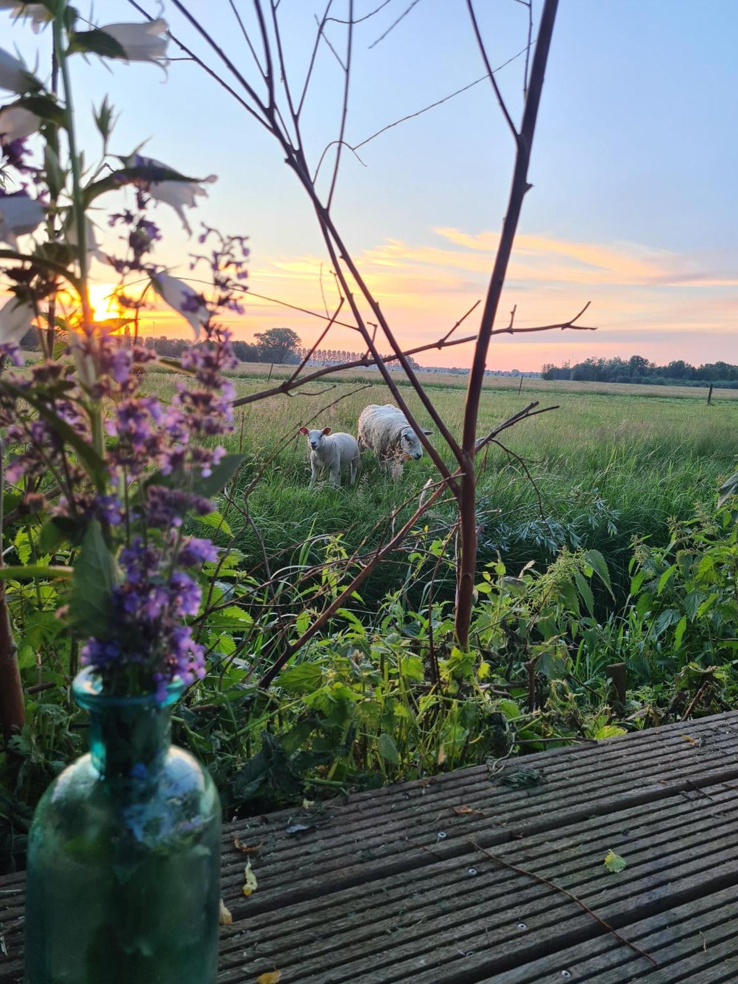 Cherry Cottage Schoonrewoerd Eksteriør bilde